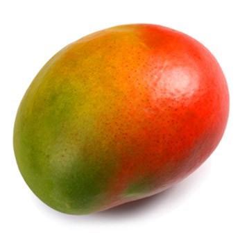 mangue